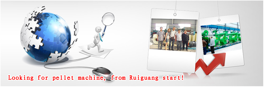 Ruiguang pellet machina